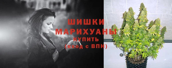 СК Кодинск