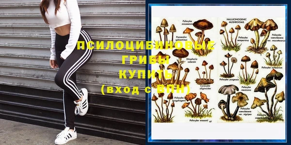 СК Кодинск