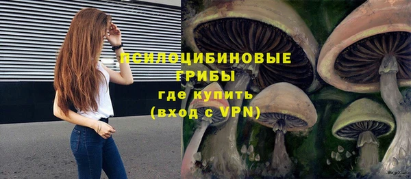 СК Кодинск