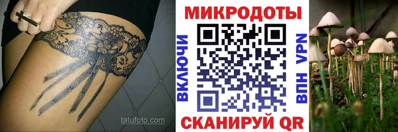 Псилоцибиновые грибы мицелий  Михайловка 
