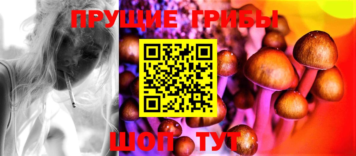 Галлюциногенные грибы мицелий Михайловка