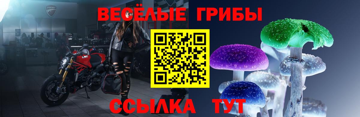 Михайловка  Псилоцибиновые грибы MAGIC MUSHROOMS  Вход с VPN 